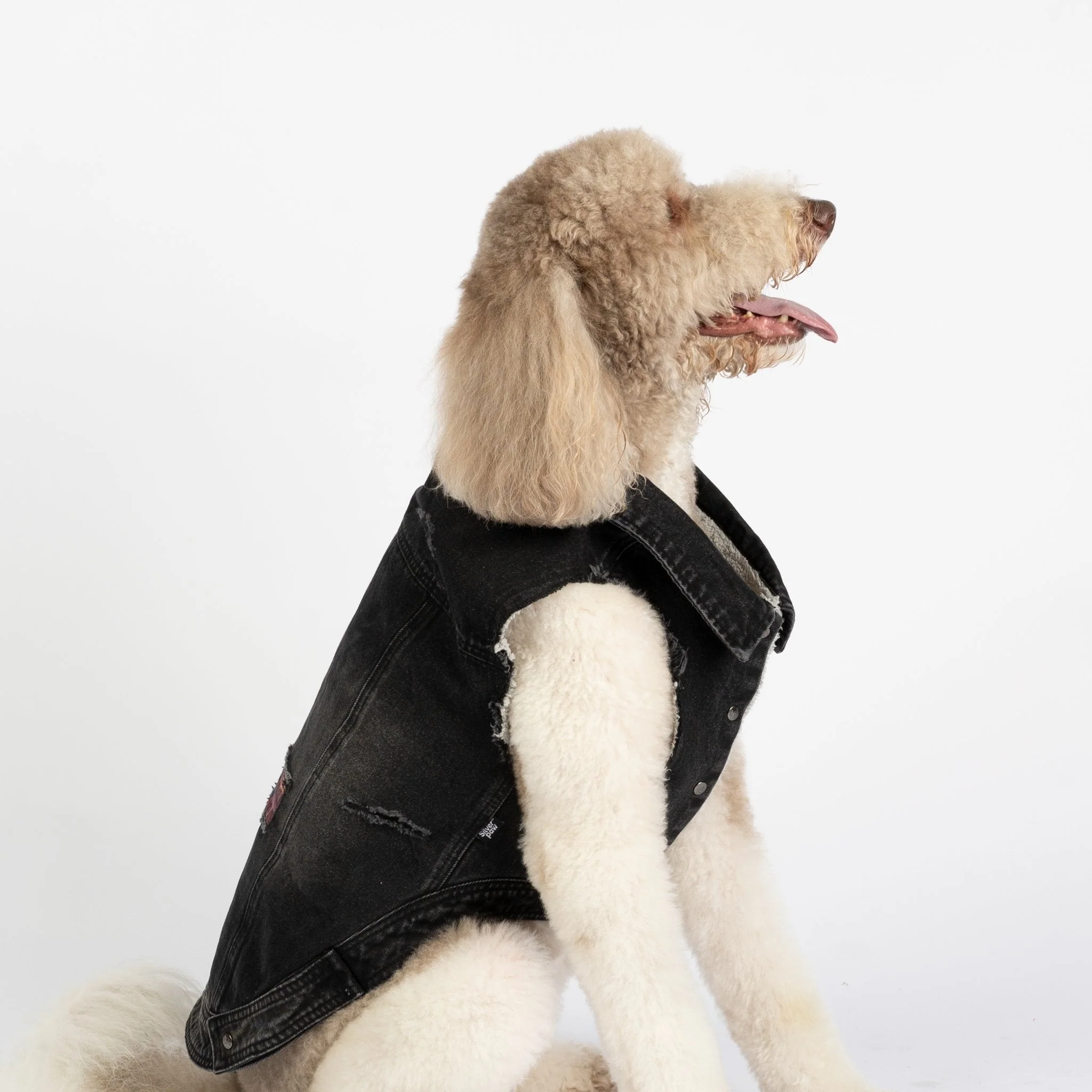Spencer Dog Jacket - Image 7