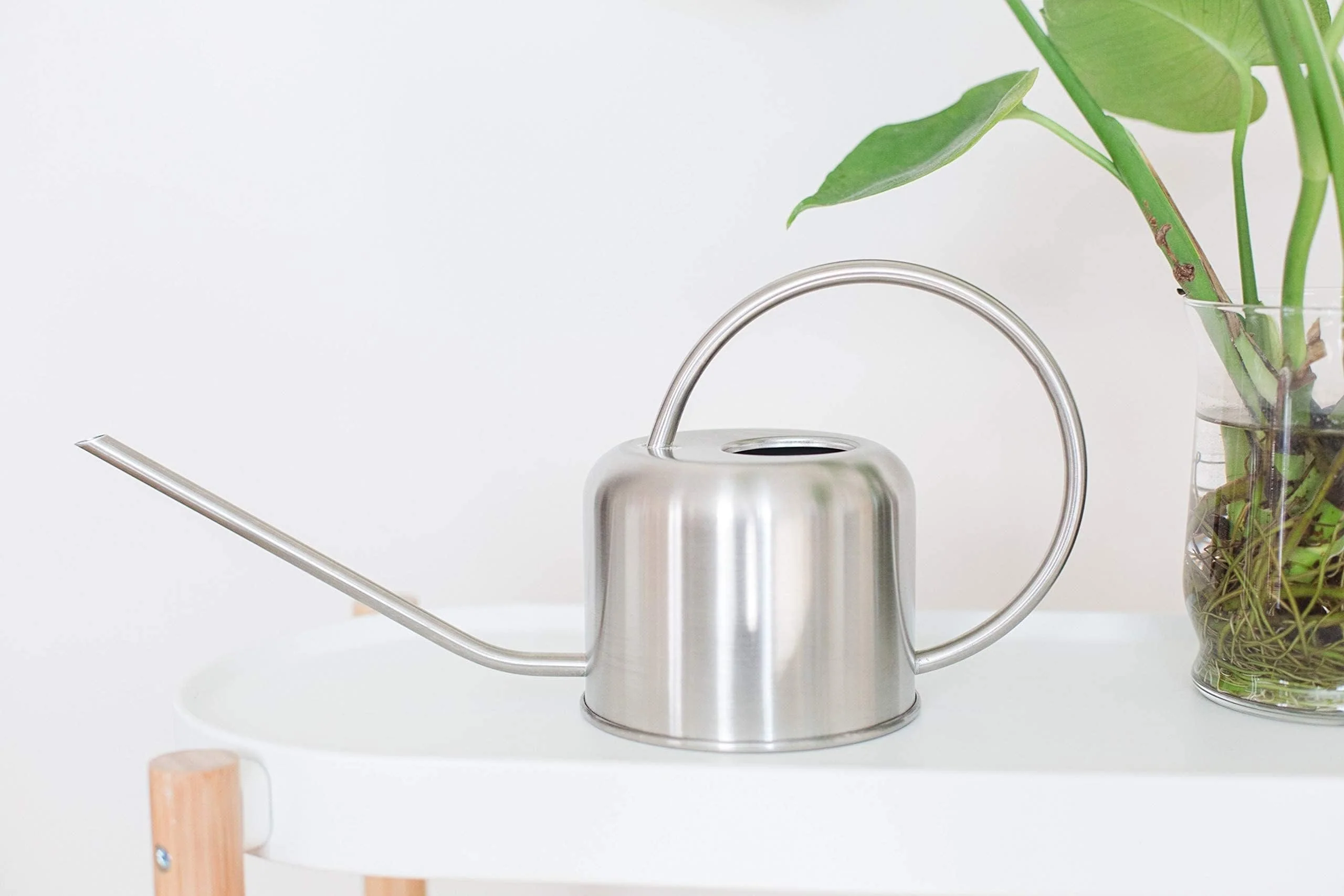 Stainless Steel Watering Can for Houseplants by Houseplant Resource Center | 1L Capacity for Indoor/Outdoor Plants in Brushed Gold by Houseplant Resource Center - Image 3