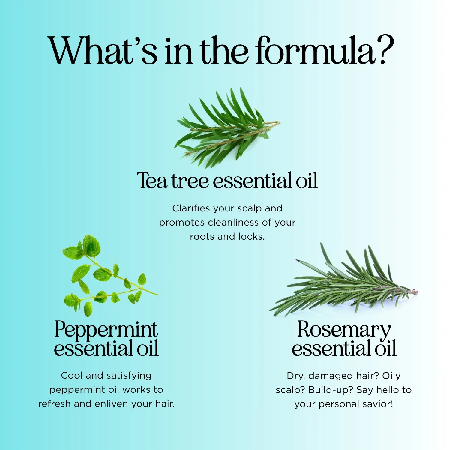 Tea Tree Peppermint Shampoo - Image 44