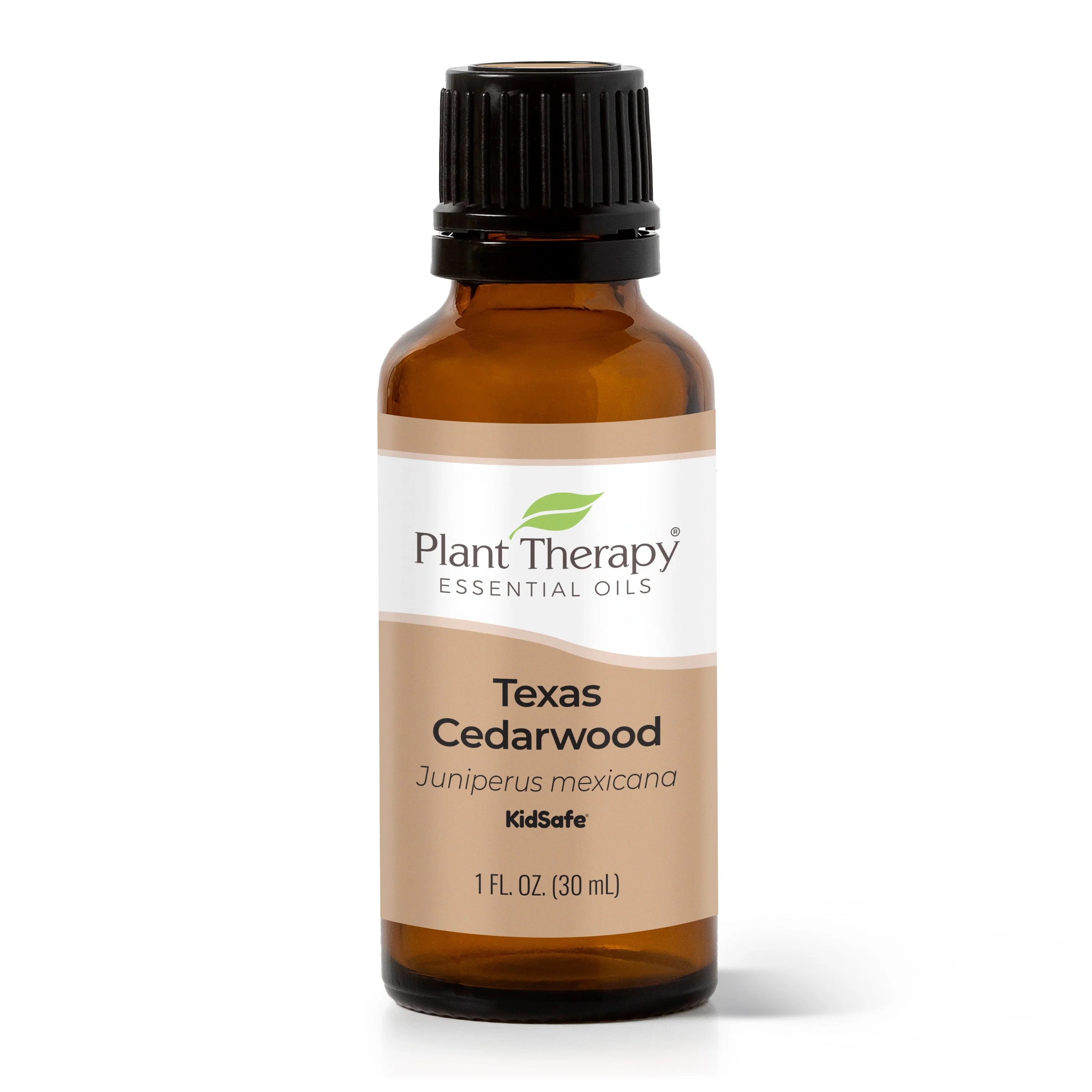 Texas Cedarwood Essential Oil - Image 3