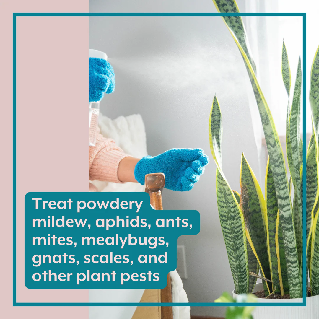 The Complete Plant Care Bundle (Plant Food + ProBiotics + Natural Pest Control) for HOUSEPLANTS by Instant Plant Food - Image 4
