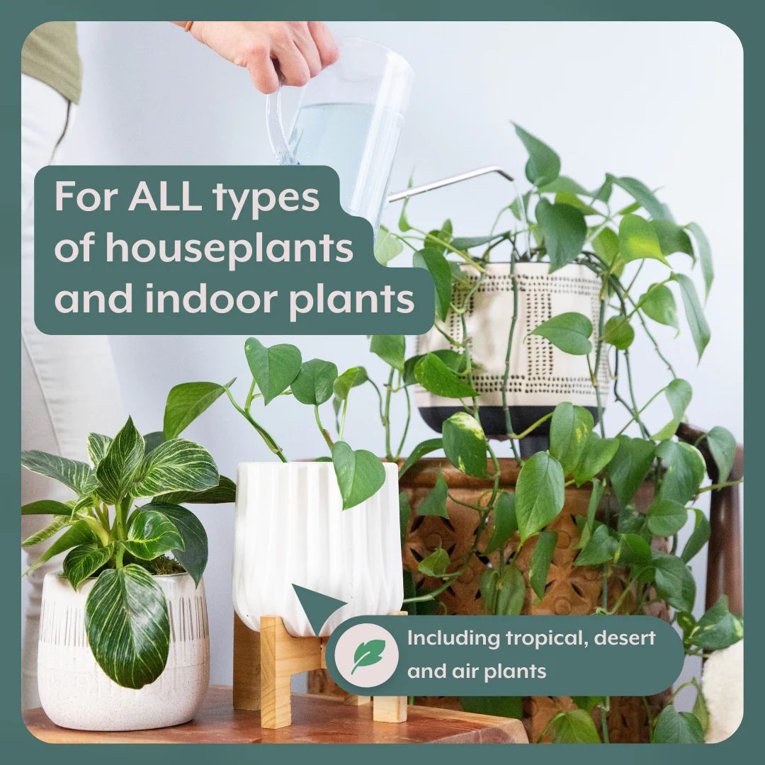 The Houseplant GROW Bundle (Plant Food + ProBiotics + Watering Can) by Instant Plant Food - Image 2