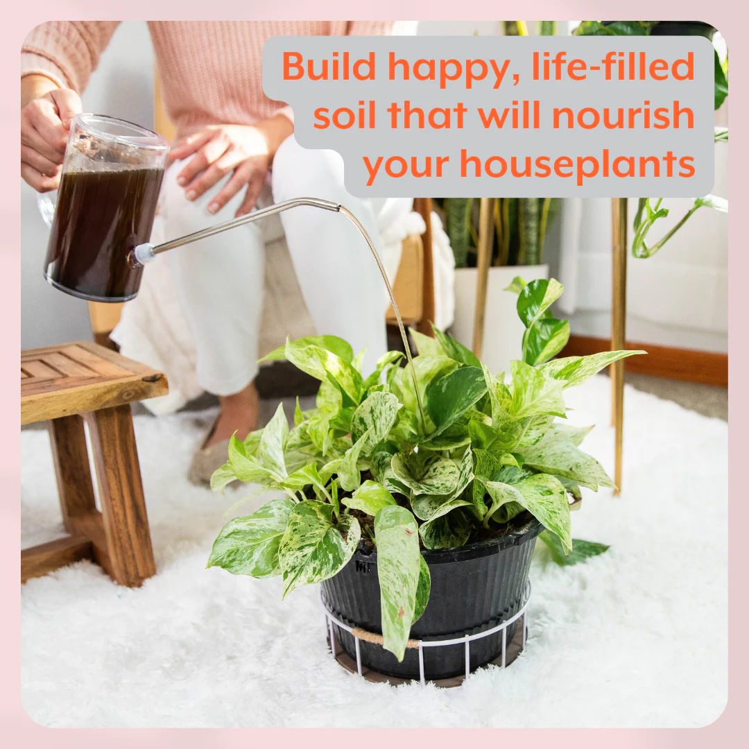 The Houseplant GROW Bundle (Plant Food + ProBiotics + Watering Can) by Instant Plant Food - Image 3