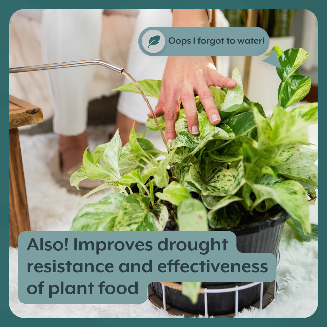 The Houseplant GROW Bundle (Plant Food + ProBiotics + Watering Can) by Instant Plant Food - Image 5