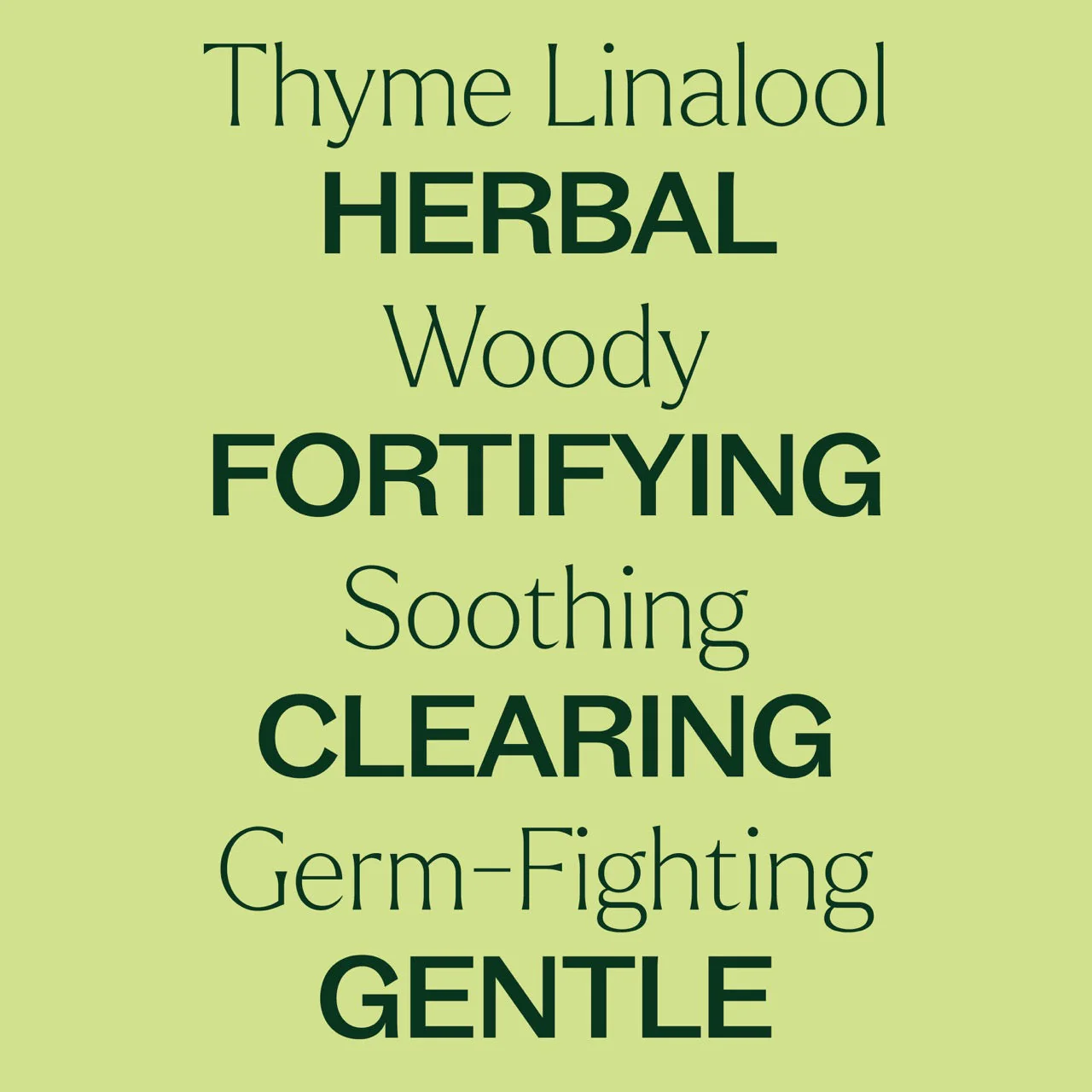 Thyme Linalool Essential Oil - Image 3