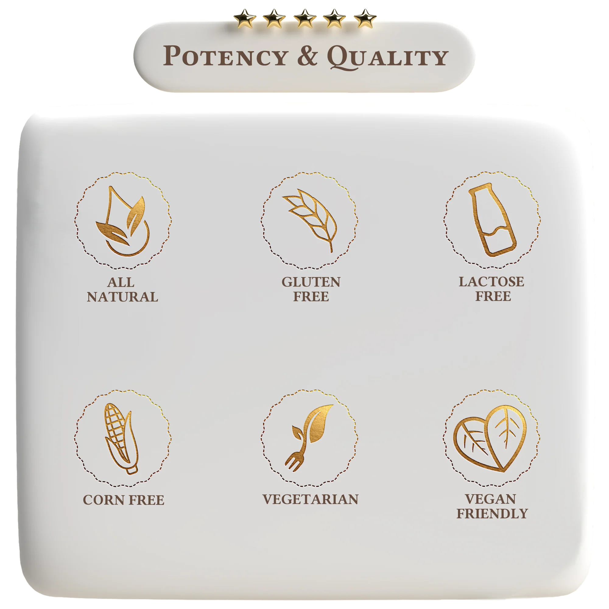 Vegan Protein Chocolate Milkshake by A Quality Life Nutrition - Image 4
