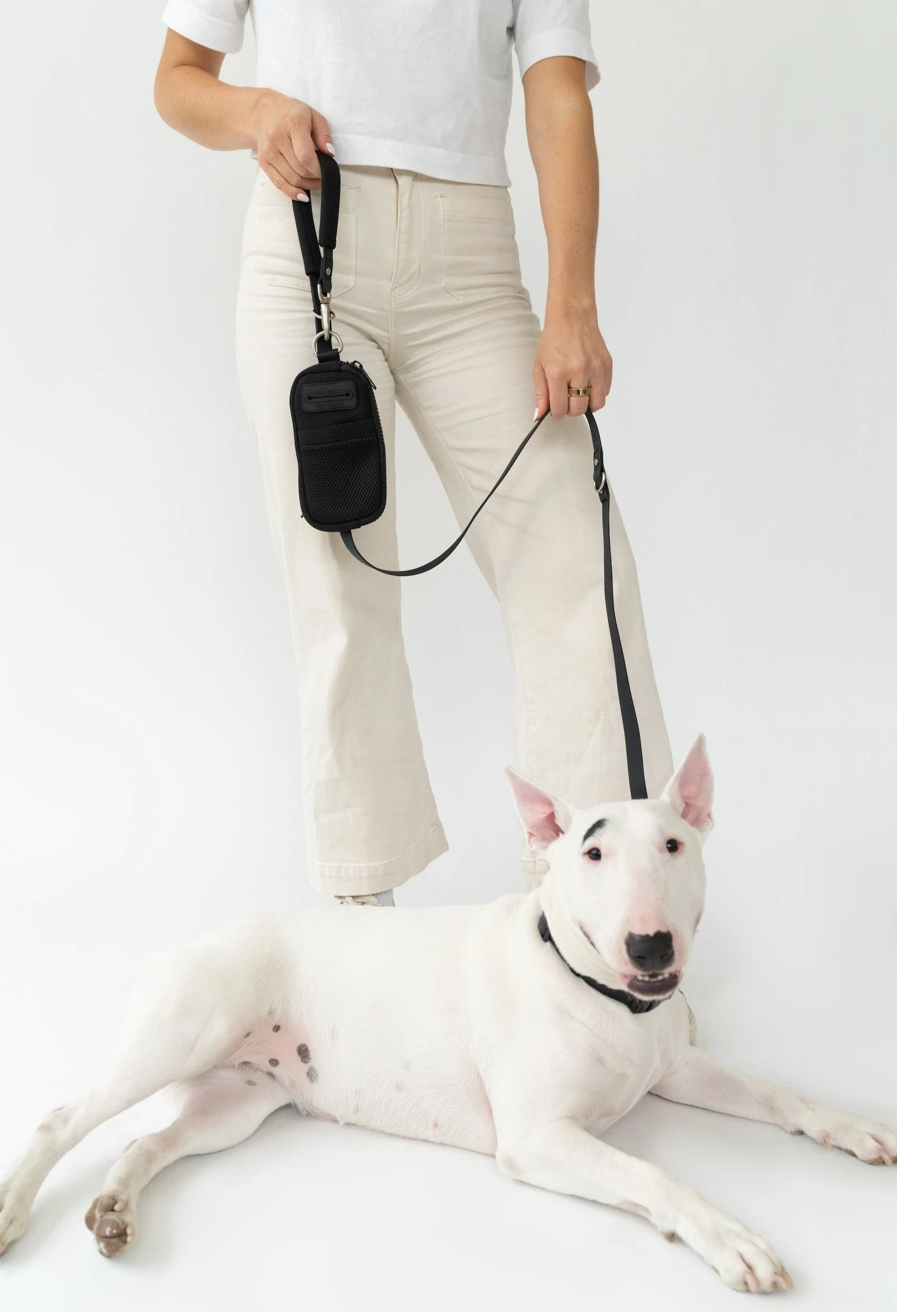 Walk Bag + Dog Leash - Image 10