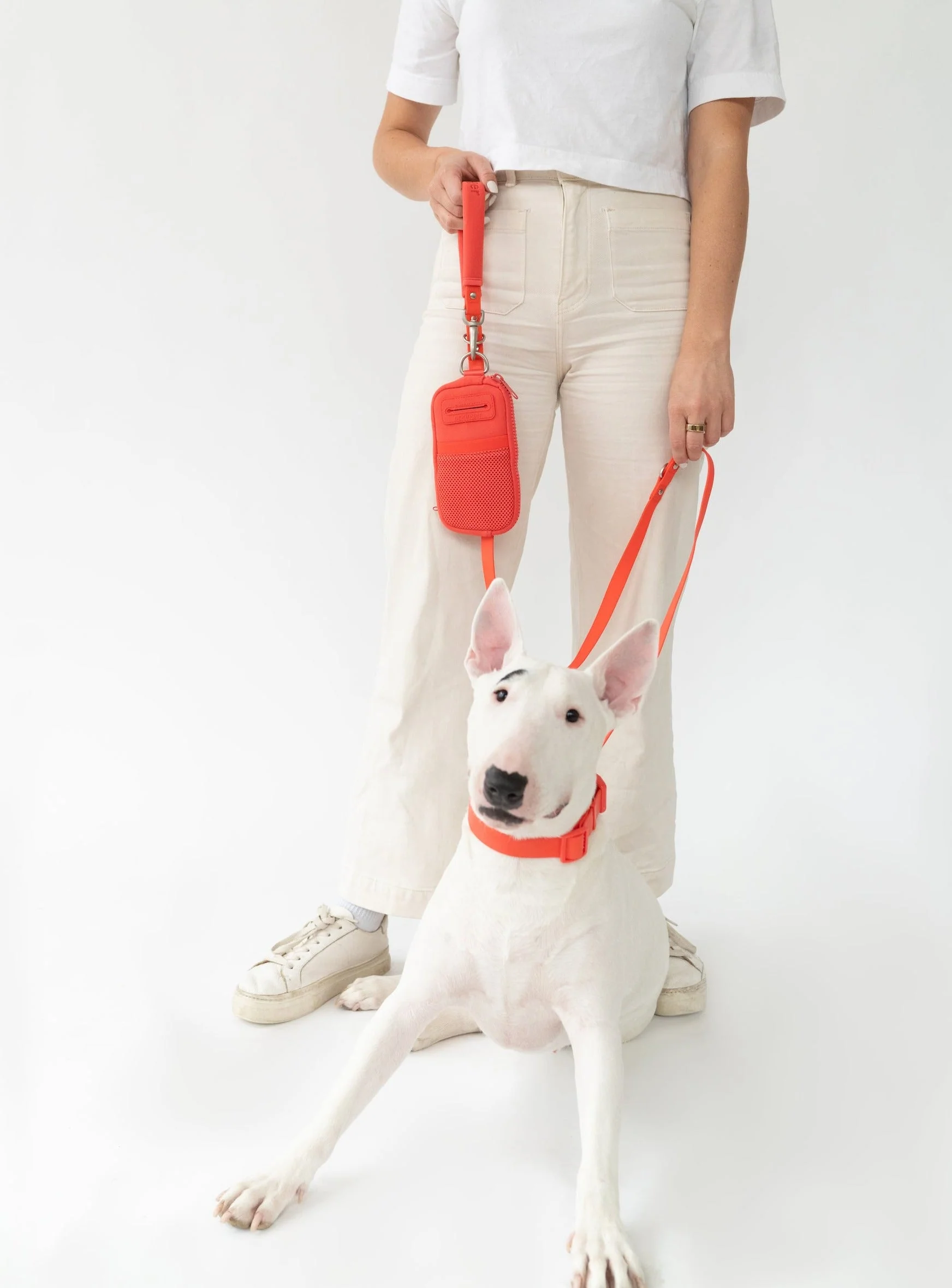 Walk Bag + Dog Leash - Image 13