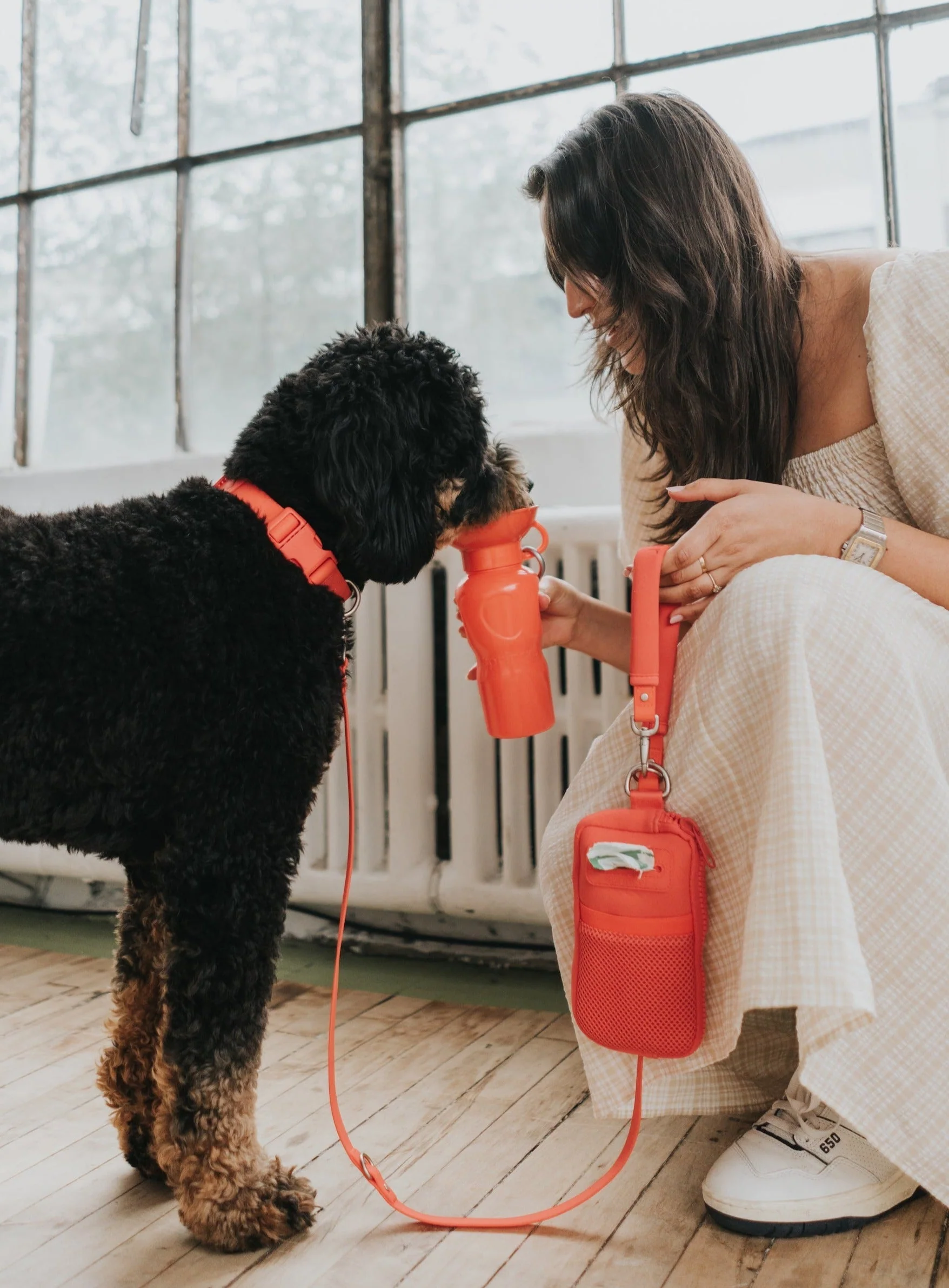 Walk Bag + Dog Leash - Image 14