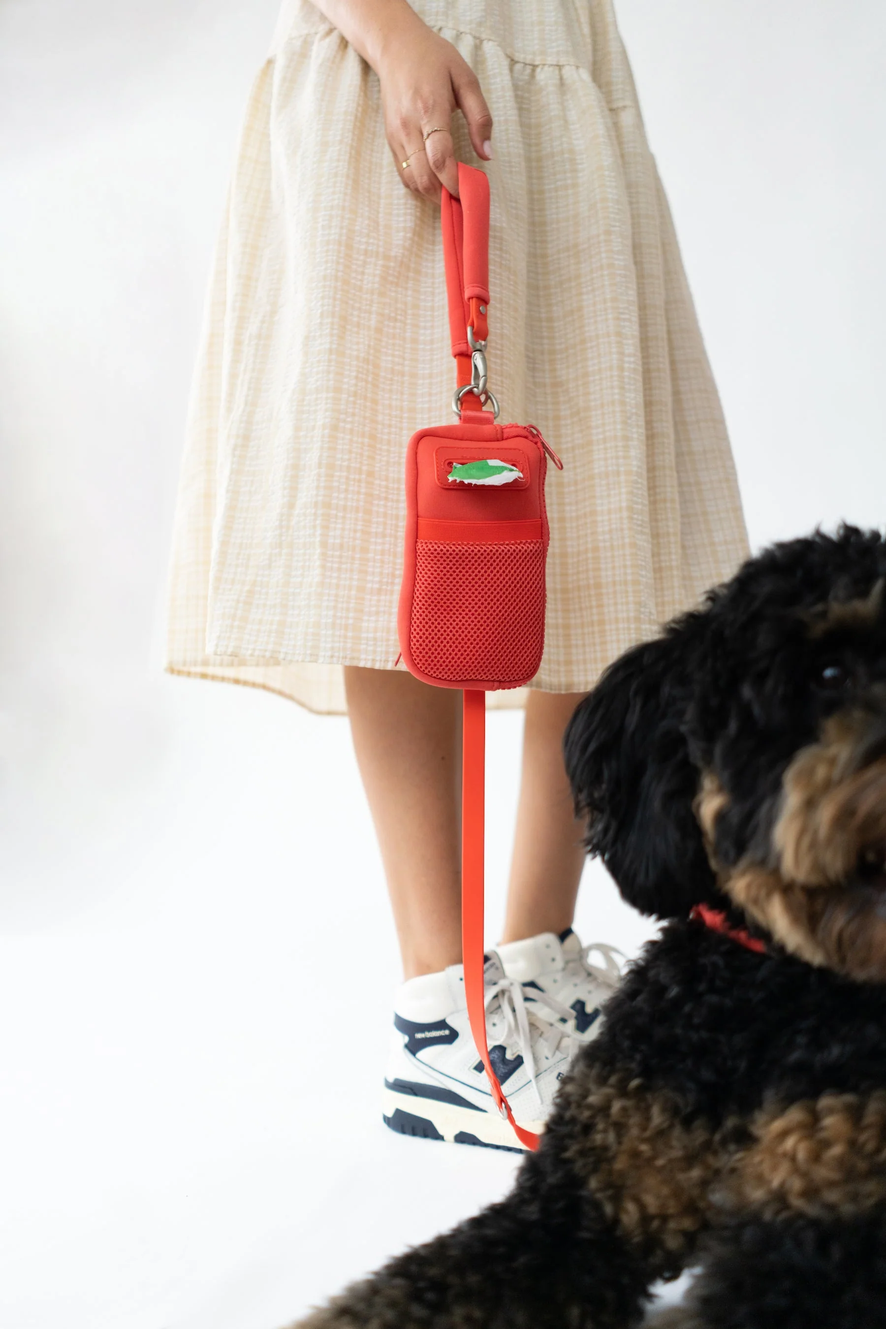 Walk Bag + Small Dog Leash - Image 12