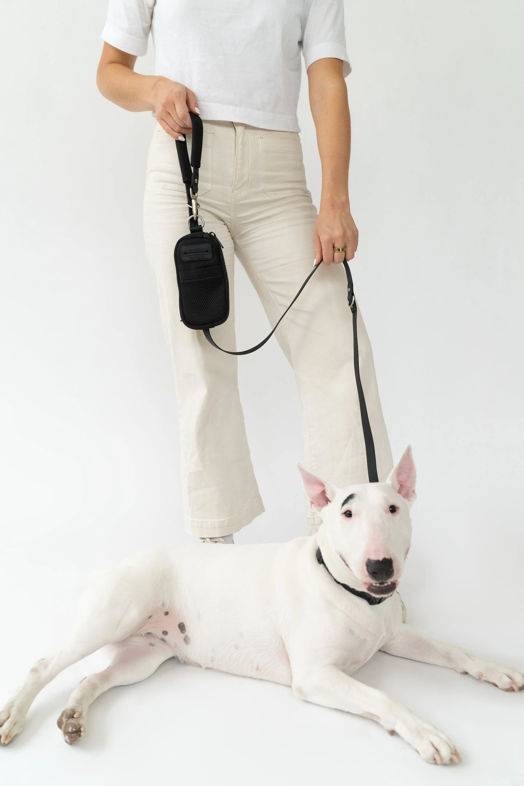 Walk Bag + Small Dog Leash - Image 15