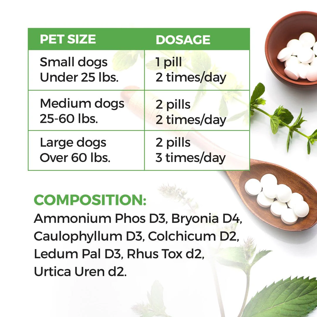 WALK-EASY™ Extra Strength Natural Pain Relief for Dogs - Helps Dog Joint Pain, Arthritis, ACL, Limping and More by BestLife4Pets - Image 5
