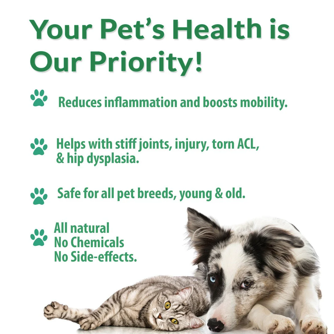 WALK-EASY® Joint and Hip Pain Relief for Dogs and Cats - Helps Arthritis, Torn Ligament and Other Joint Conditions by BestLife4Pets - Image 4