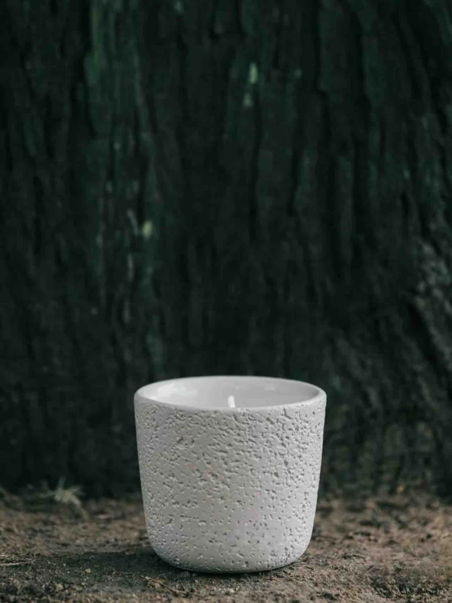 Wood Wick Soy Wax Scented Candle - Breath Of Nature Scented - Fir Forest - Image 4