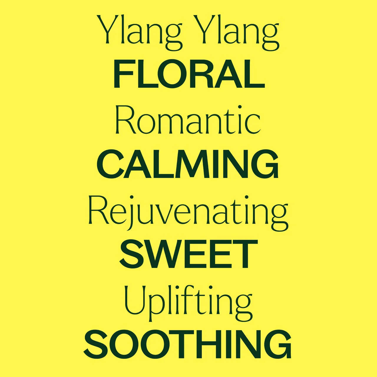 Ylang Ylang Complete Essential Oil - Image 3
